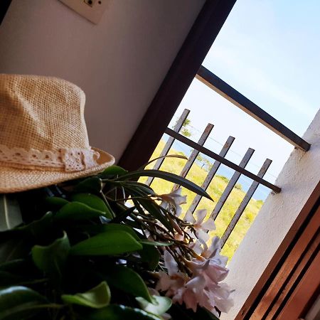 Xaloc, Apartament Amb Vistes A Mar M4 El Port De La Selva エクステリア 写真