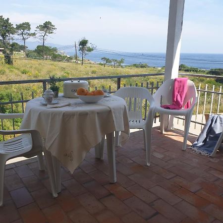 Xaloc, Apartament Amb Vistes A Mar M4 El Port De La Selva エクステリア 写真